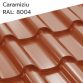 caramiziu montaj-acoperis-bilka-arad