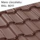 maro-ciocolatiu montaj-acoperis-bilka-arad