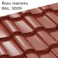 rosu-maroniu montaj-acoperis-bilka-arad