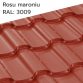 rosu-maroniu montaj-acoperis-bilka-arad